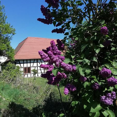 Gite Rue De L'Ange Hunspach Экстерьер фото