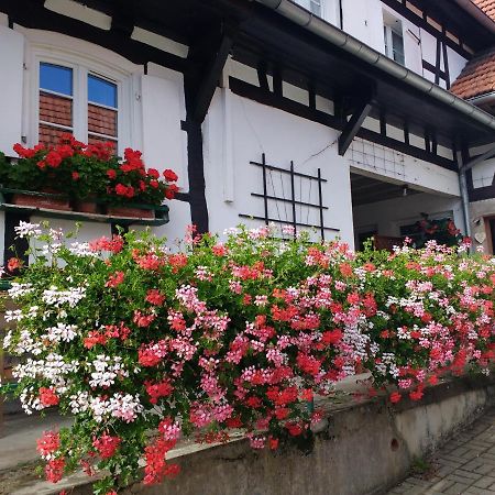 Gite Rue De L'Ange Hunspach Экстерьер фото