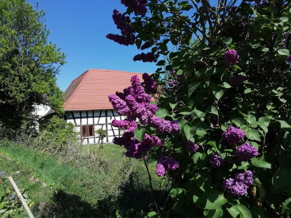 Gite Rue De L'Ange Hunspach Экстерьер фото