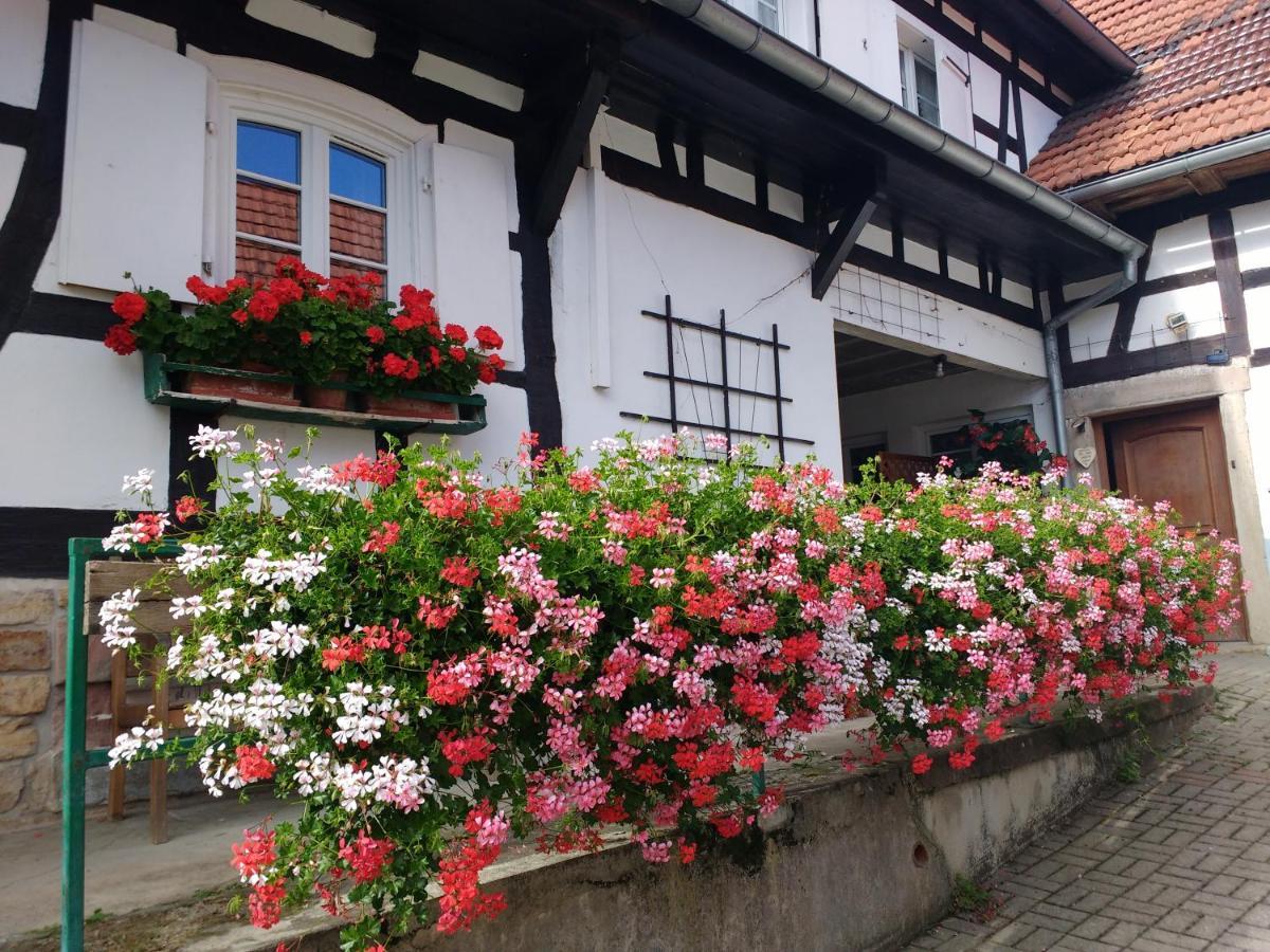 Gite Rue De L'Ange Hunspach Экстерьер фото