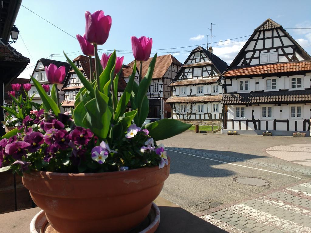 Апартаменты Gite Rue De L'Ange Hunspach Экстерьер фото