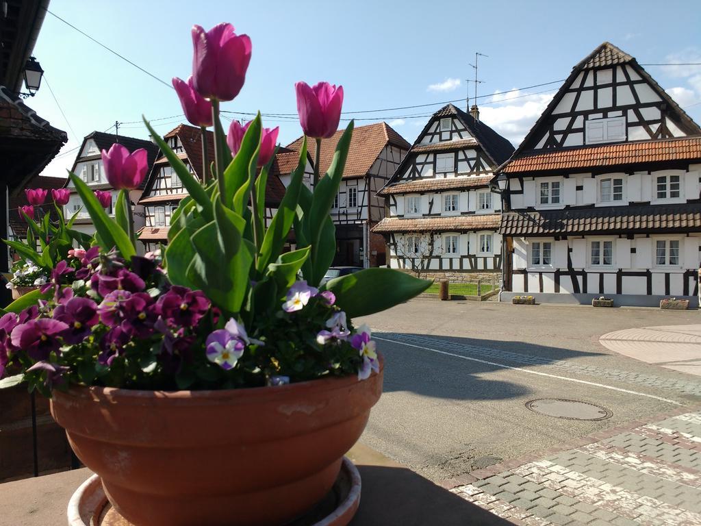 Gite Rue De L'Ange Hunspach Экстерьер фото